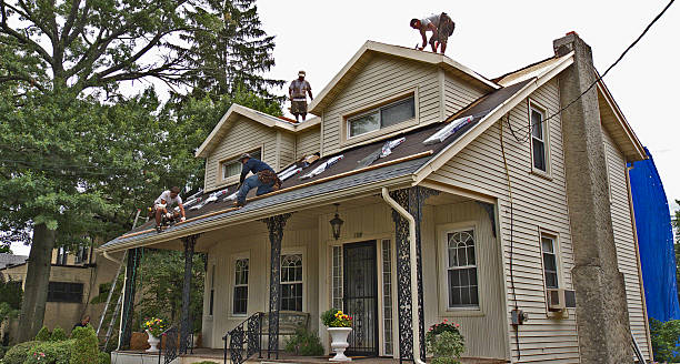 Best Roof Maintenance Services  in St Charles, MO